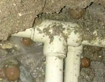 贺兰测漏水多少钱