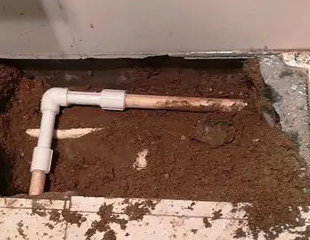 贺兰测漏水哪家好