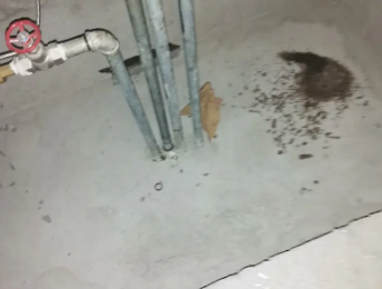 贺兰卫生间测漏水价格明细