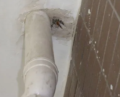 贺兰漏水检测哪家好